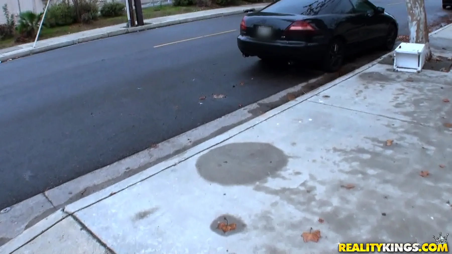 Abbey Rain in 'Ass up' from 'Reality Kings' (Photo 1) Reality Kings 'Ass up' starring Abbey Rain (Photo 1)