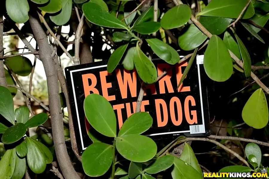 Reality Kings 'Ass on ava' starring Ava Kelly (Photo 1)