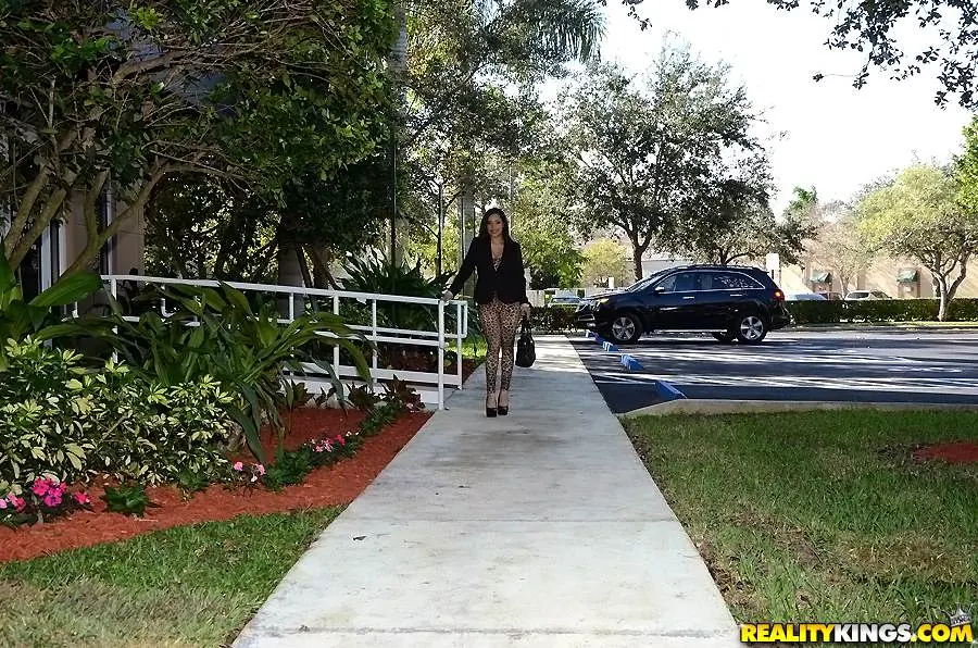 Reality Kings 'Hard bang' starring Briana Belle (Photo 1)