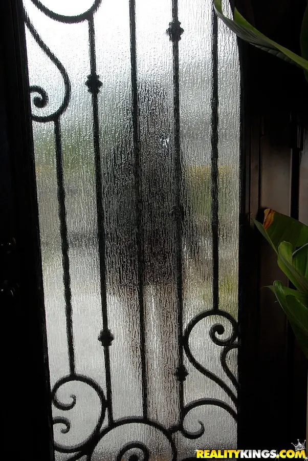 Reality Kings 'Blazing hottie' starring Britany Olsen (Photo 1)