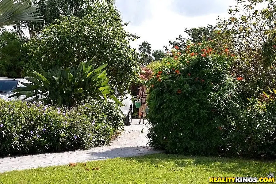 Reality Kings 'Strapped up' starring Brooklyn Chase (Photo 40)