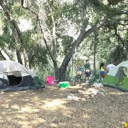 Cassidy Banks in 'Reality Kings' Into The Wild (Thumbnail 1)