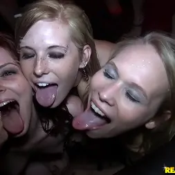 Dakota Skye in 'Reality Kings' Public display (Thumbnail 444)