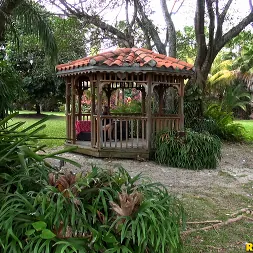 Debra Stokes in Stokes strokes (Photo 47) Debra Stokes in 'Reality Kings' Stokes strokes (Thumbnail 47)