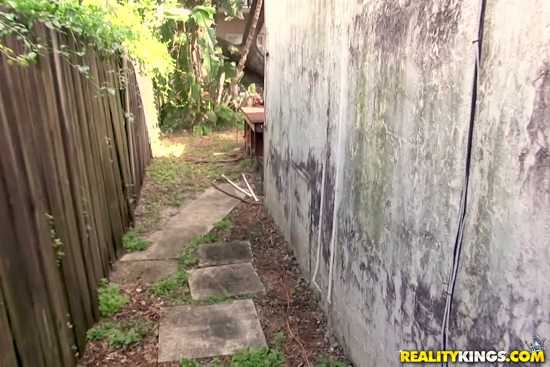 Reality Kings 'Put It In Your Mouth' starring Heather Hamilton (Photo 36)