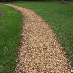 Jae Lauren in 'Reality Kings' Loads on jae (Thumbnail 88)