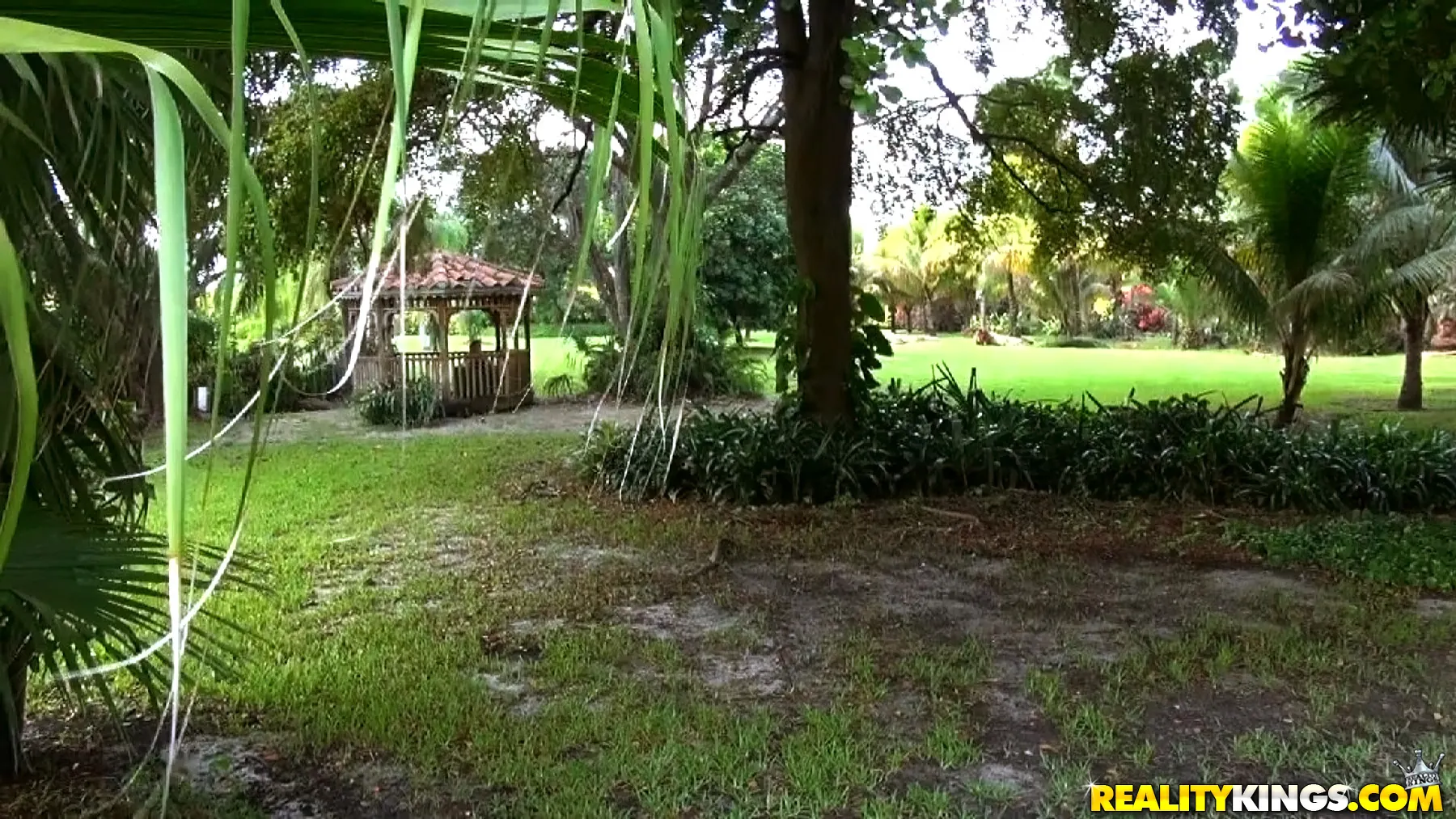 Reality Kings 'Banging josie' starring Josie (Photo 1)