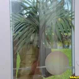 Kaci Lynn in Wet and willing (Photo 1) Kaci Lynn in 'Reality Kings' Wet and willing (Thumbnail 1)