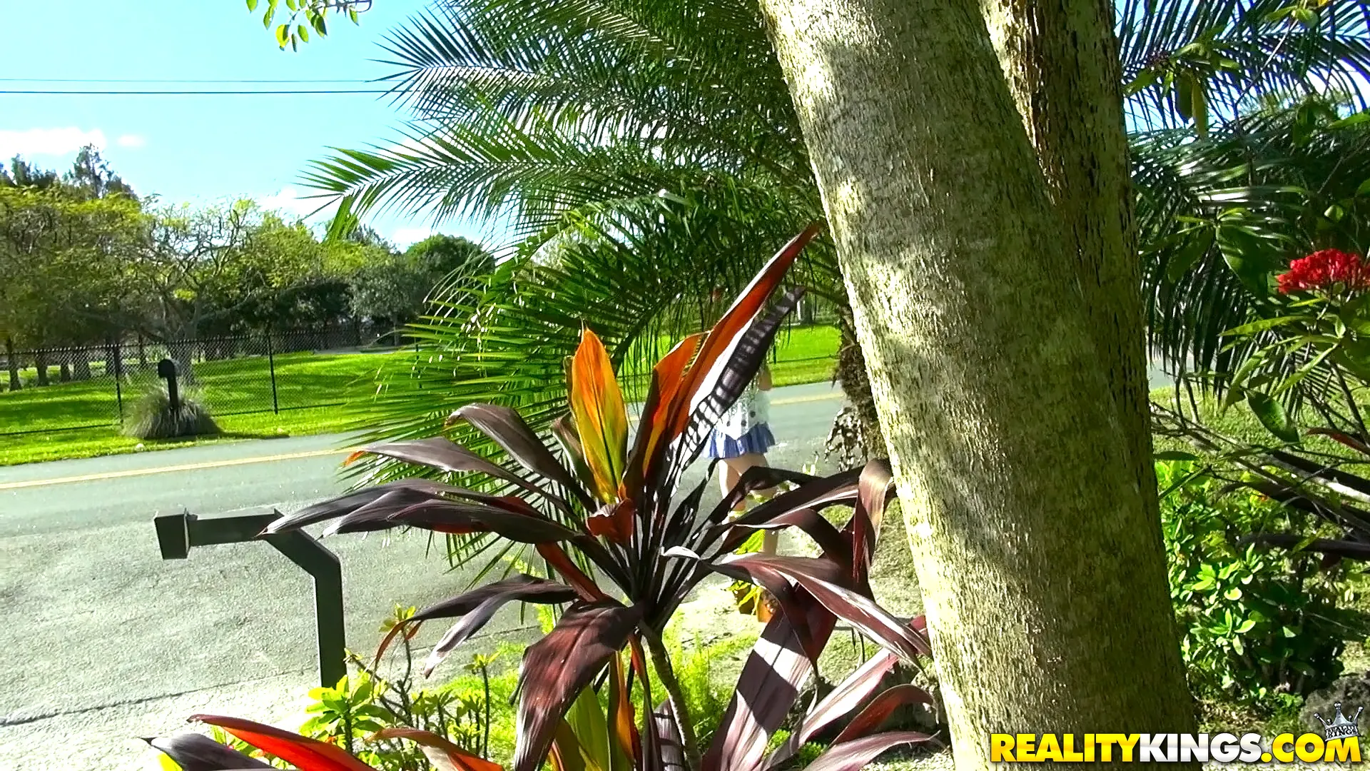 Kandi Quinn in 'Taste Like Kandi' from 'Reality Kings' (Photo 1) Reality Kings 'Taste Like Kandi' starring Kandi Quinn (Photo 1)