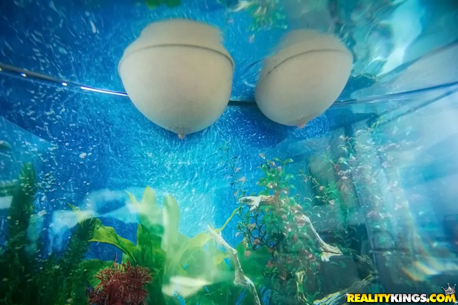 Reality Kings 'Jugs for juggling' starring Karlee Grey (Photo 1)