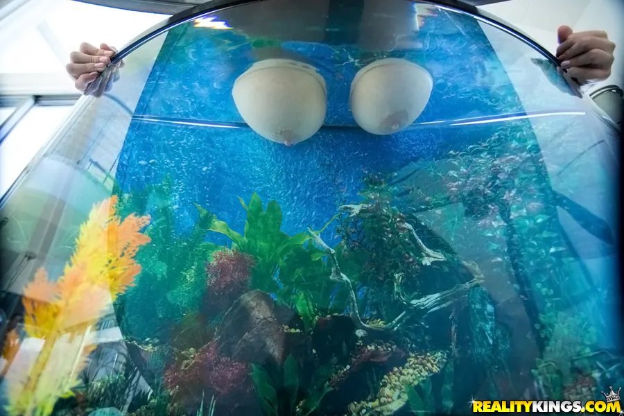 Reality Kings 'Jugs for juggling' starring Karlee Grey (Photo 37)