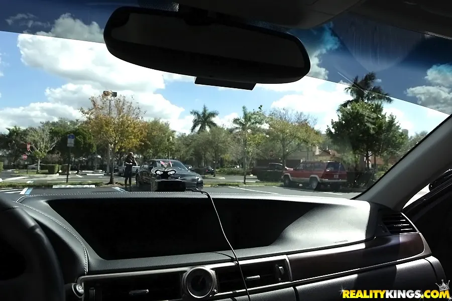 Reality Kings 'Milf craze' starring Katlyn Snow (Photo 1)