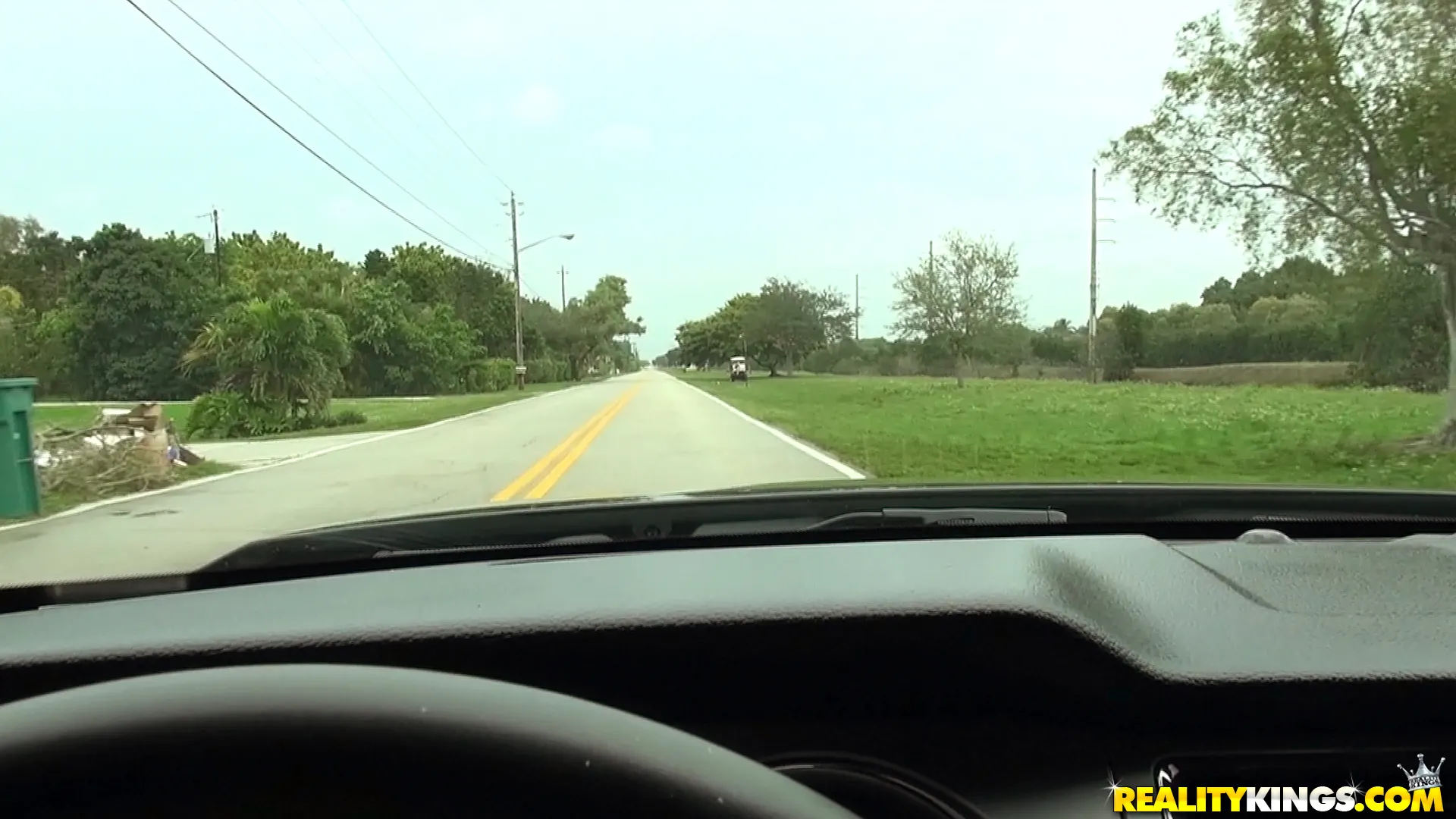 Reality Kings 'Pussy kat' starring Katrina Wilson (Photo 1)