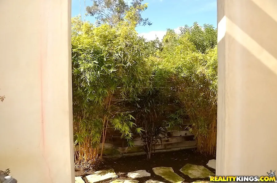 Reality Kings 'Lusty lotus' starring Lotus Lain (Photo 1)