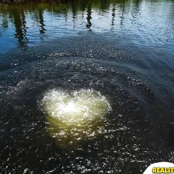 Penny Nichols in 'Reality Kings' Pretty penny (Thumbnail 294)