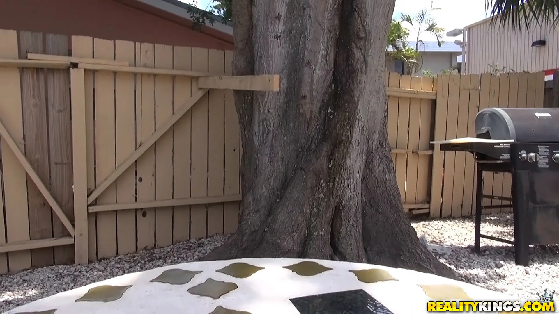 Reality Kings 'Golden Rod' starring Pressley Carter (Photo 1)