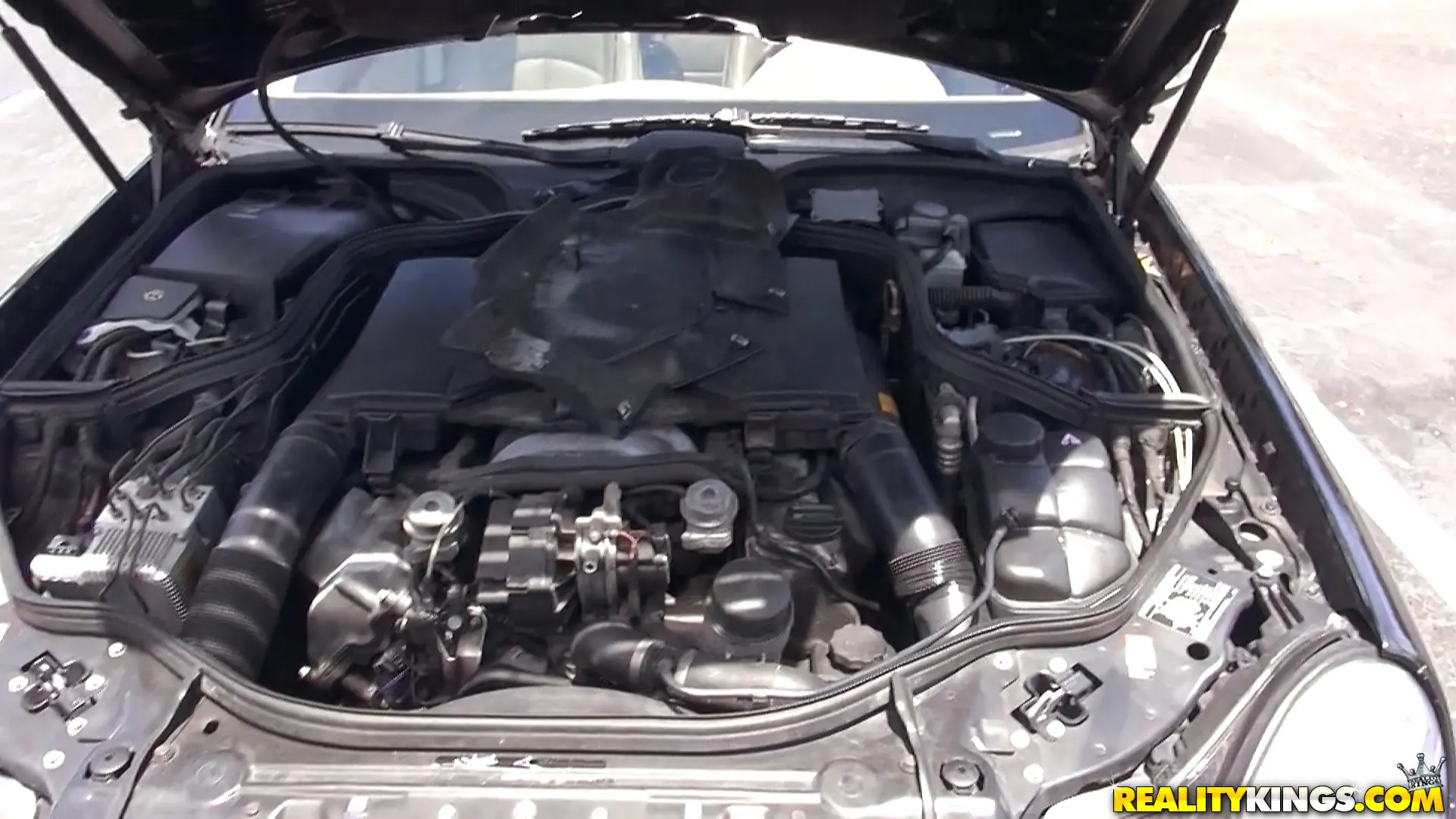 Reality Kings 'Golden Rod' starring Pressley Carter (Photo 34)