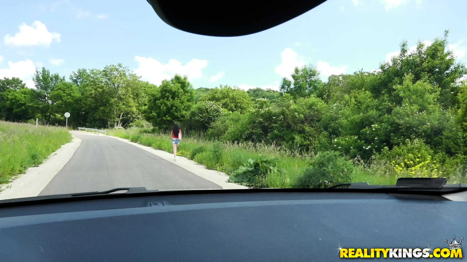 Reality Kings 'Along For The Ride' starring Rebecca Volpetti (Photo 1)