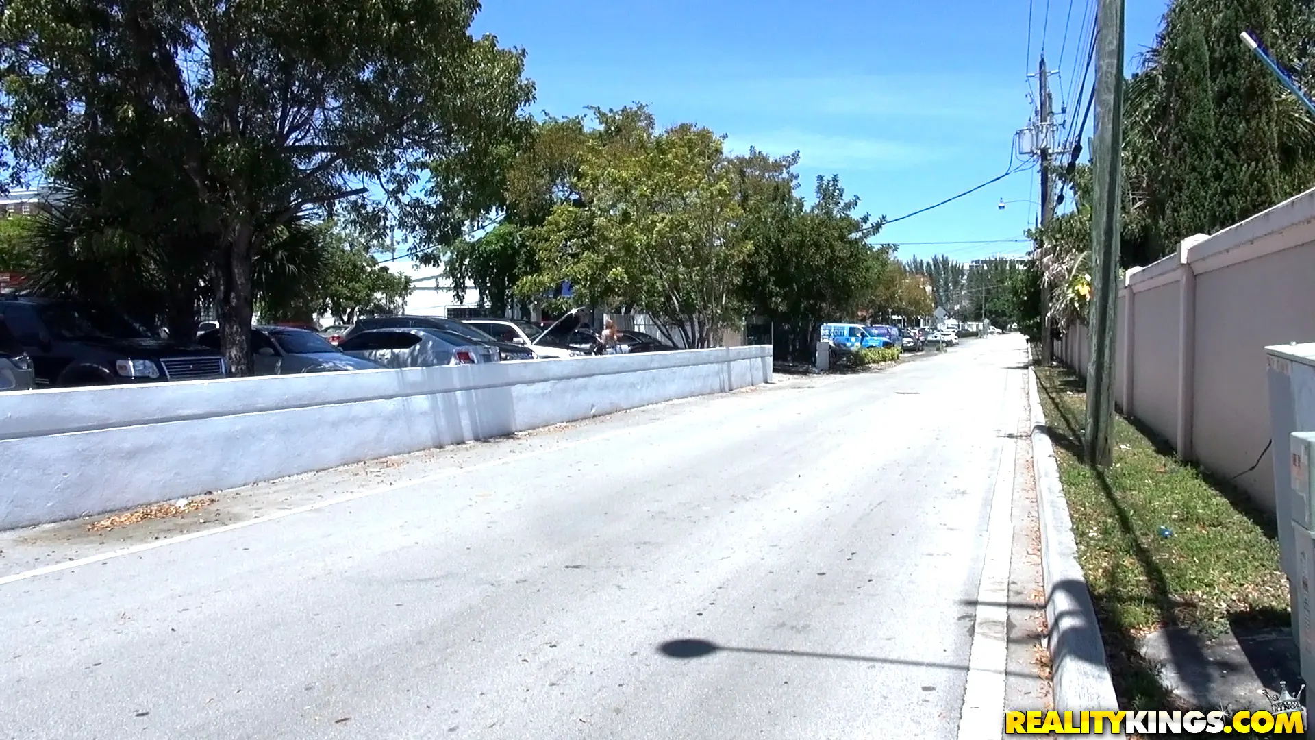 Reality Kings 'Down on the dick' starring Rogue Angel (Photo 1)