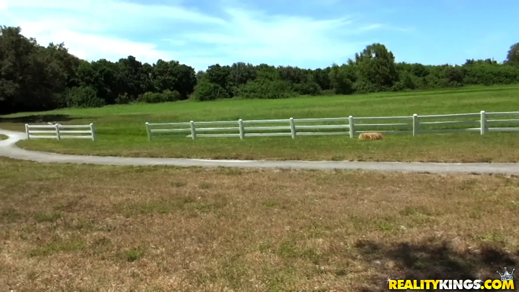 Reality Kings 'Sonny side up' starring Sonny Nash (Photo 1)