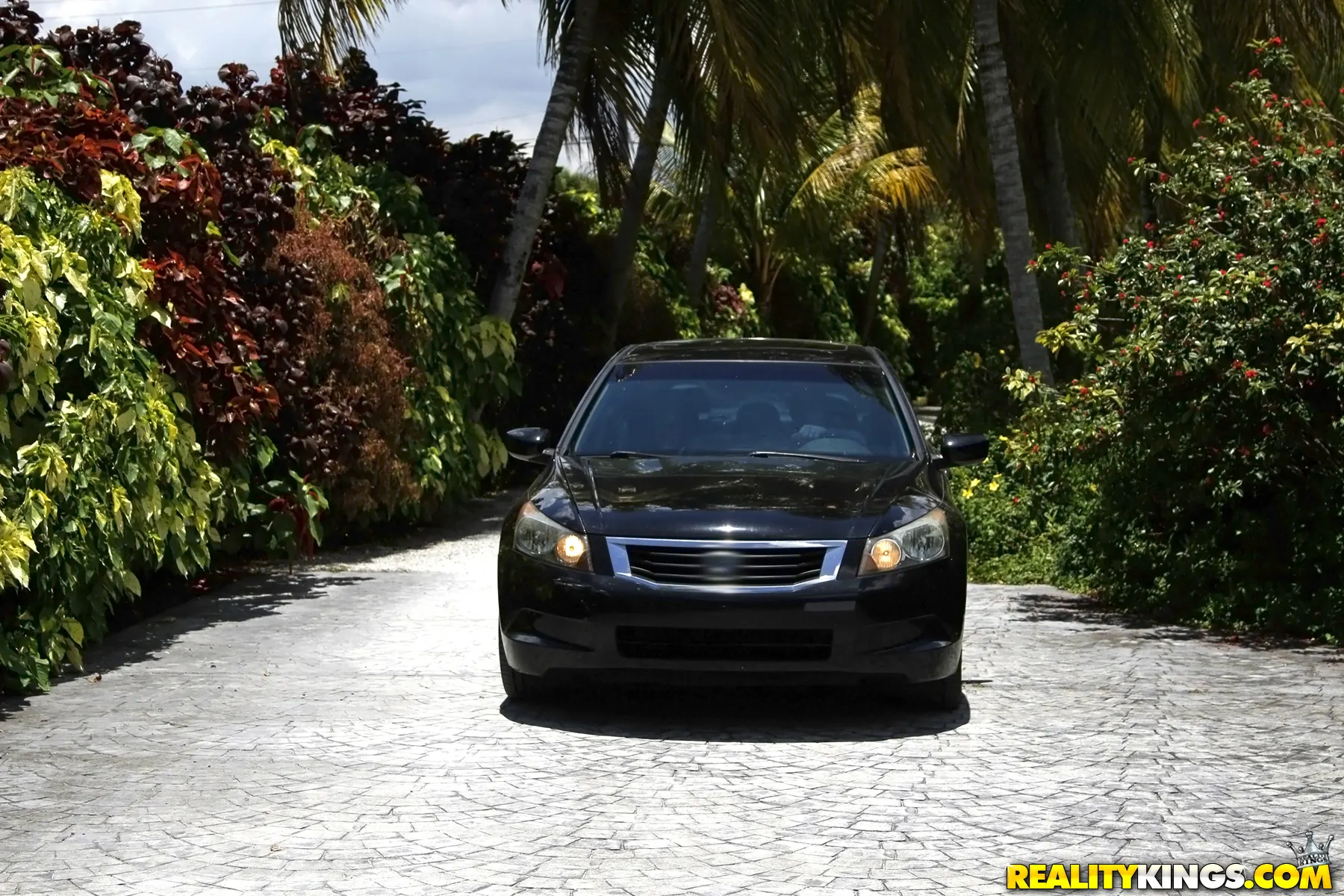 Reality Kings 'Savannah on fire' starring Savannah Fyre (Photo 1)