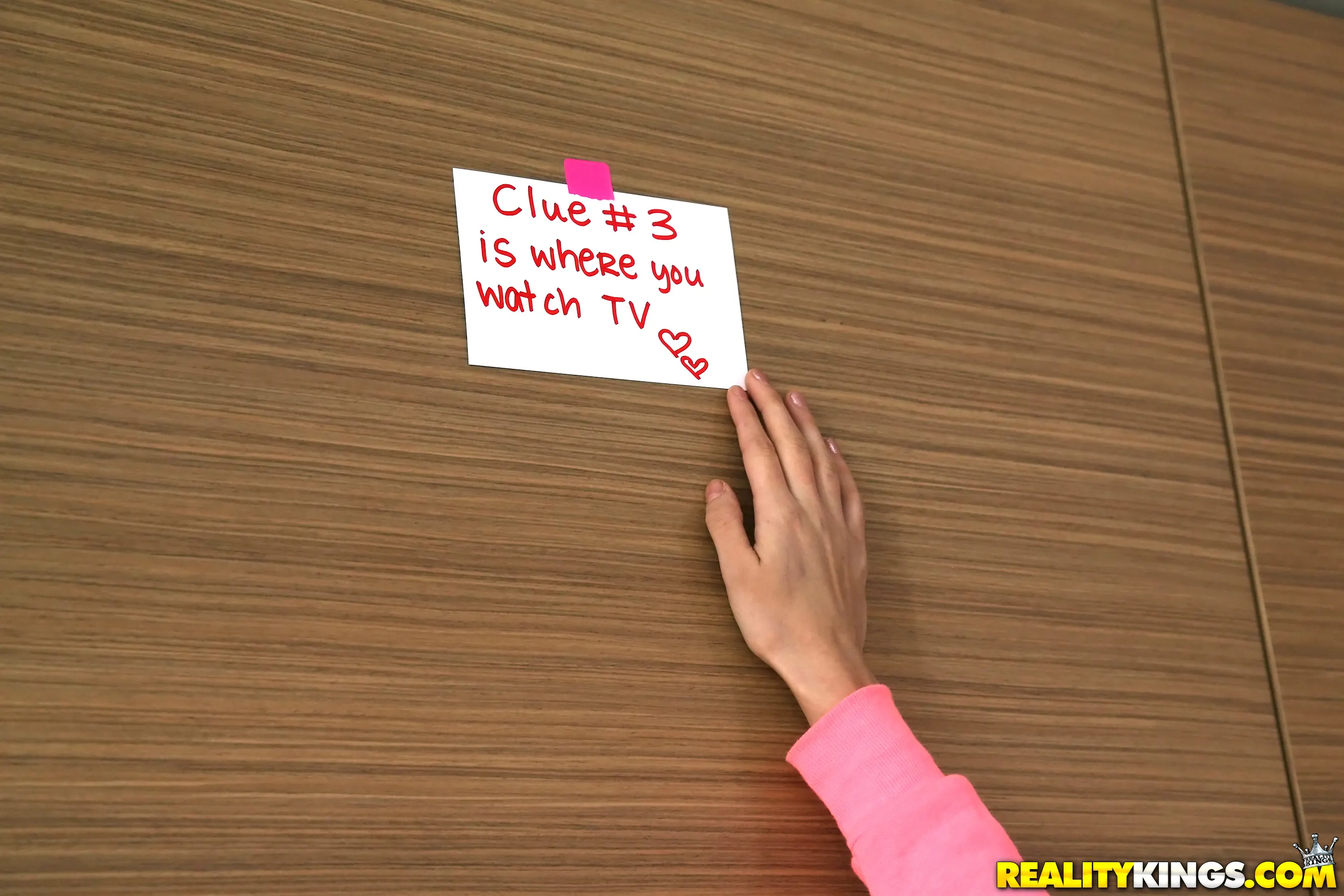 Reality Kings 'The Hook Up' starring Shyla Jennings (Photo 144)