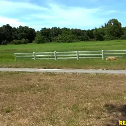 Sonny Nash in 'Reality Kings' Sonny Side Up (Thumbnail 1)