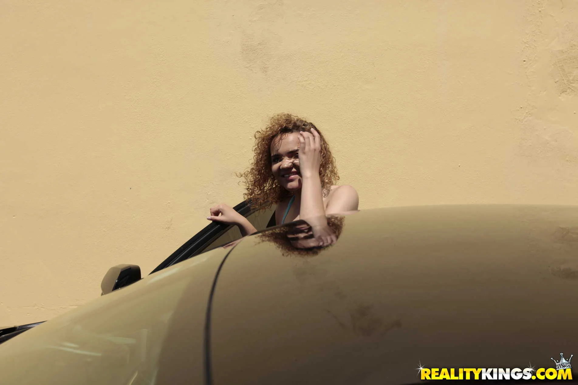 Reality Kings 'Take A Load Get A Loan' starring Tyler Steel (Photo 15)