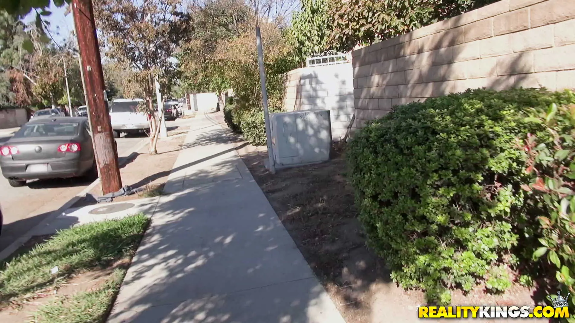 Reality Kings 'Suck It Up' starring Whitney Wright (Photo 1)